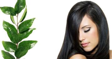 curry-leaves-for-hair